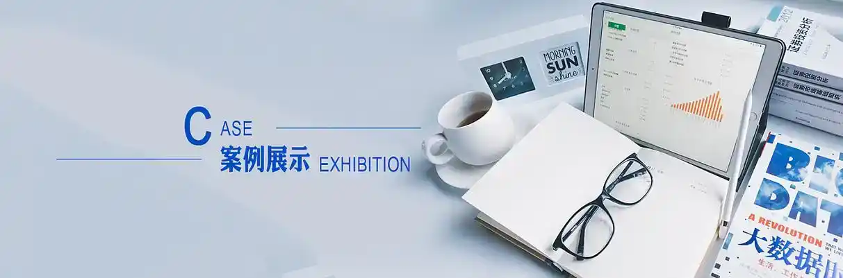 电白县软件开发